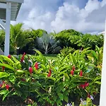 La Kaz A Kikite - Magnifique Villa De Standing Avec Piscine Privative