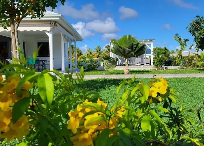 La Kaz A Kikite - Magnifique Villa De Standing Avec Piscine Privative