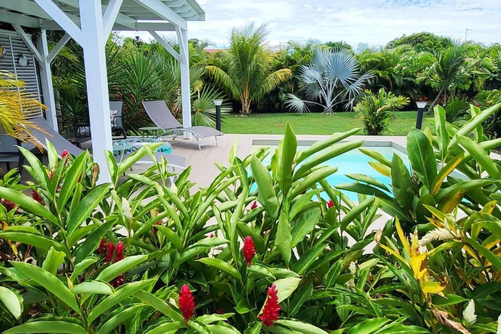 La Kaz A Kikite - Magnifique De Standing Avec Piscine Privative