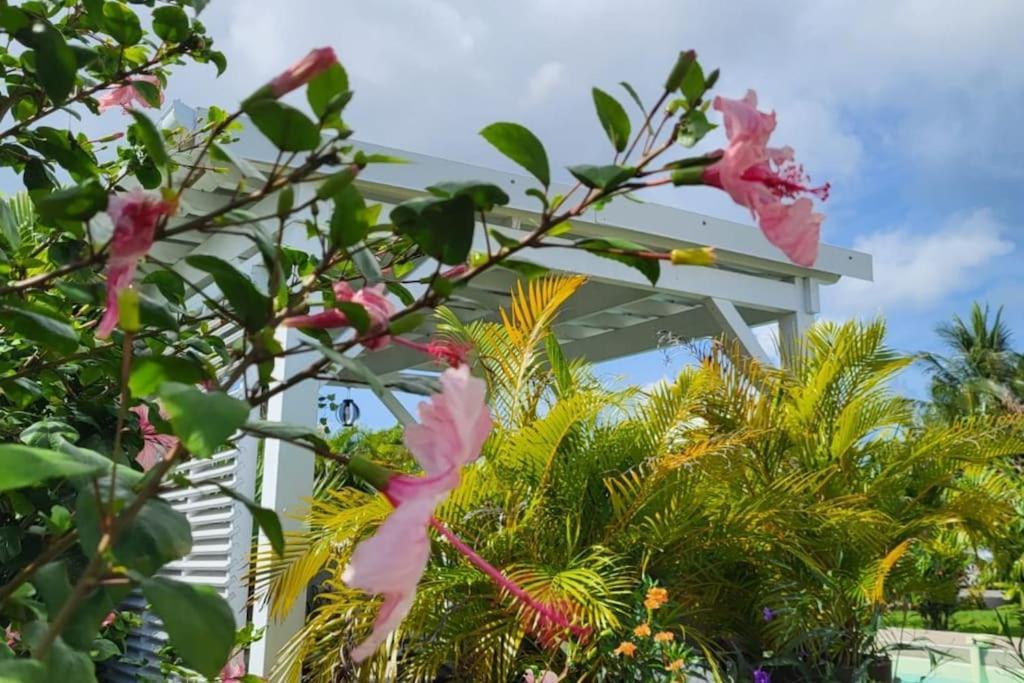 La Kaz A Kikite - Magnifique De Standing Avec Piscine Privative Holiday home *