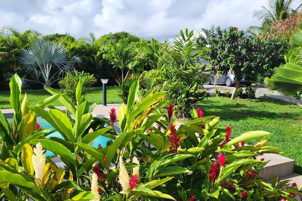 La Kaz A Kikite - Magnifique De Standing Avec Piscine Privative Holiday home *
