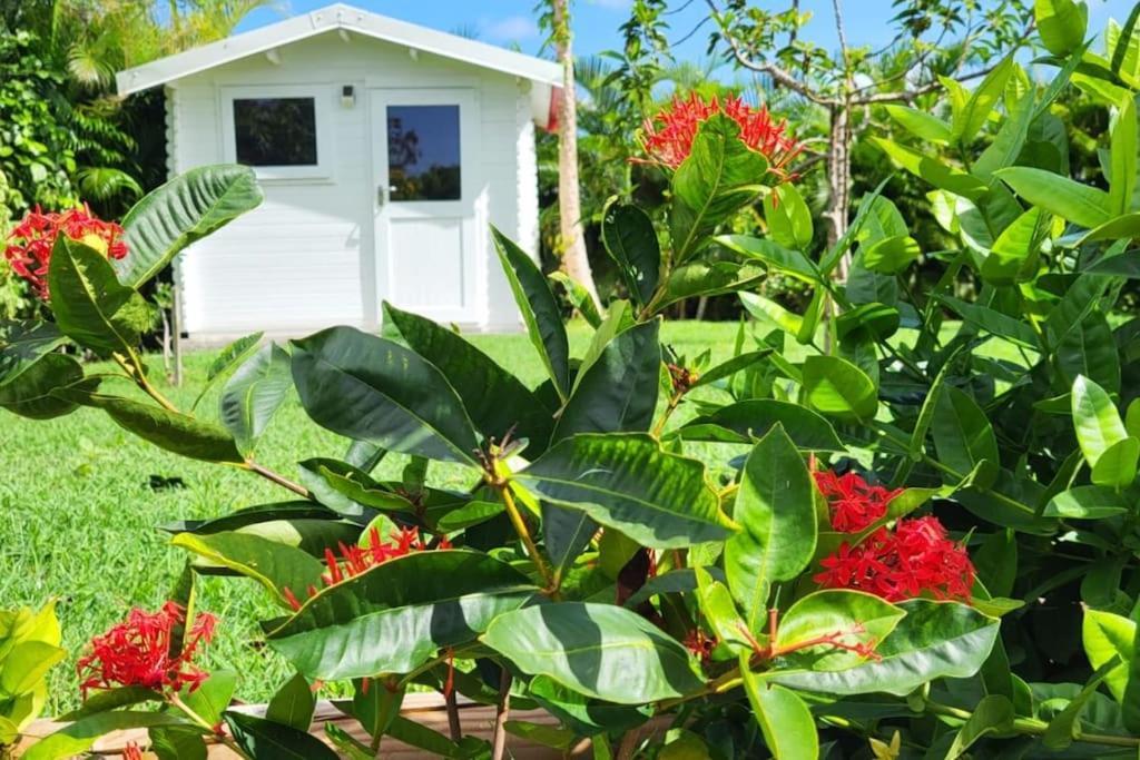 Holiday home La Kaz A Kikite - Magnifique De Standing Avec Piscine Privative Saint-Francois (Grande-Terre)